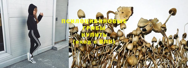 альфа пвп Бугульма