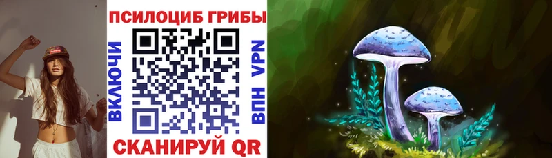 Псилоцибиновые грибы GOLDEN TEACHER  Купить закладки  Палласовка 